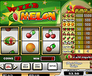 Wild Melon